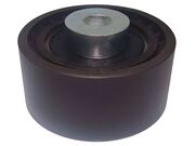 Polia Auxiliar Correia Dentada 307, C4, Picasso 2.0 16V EW10